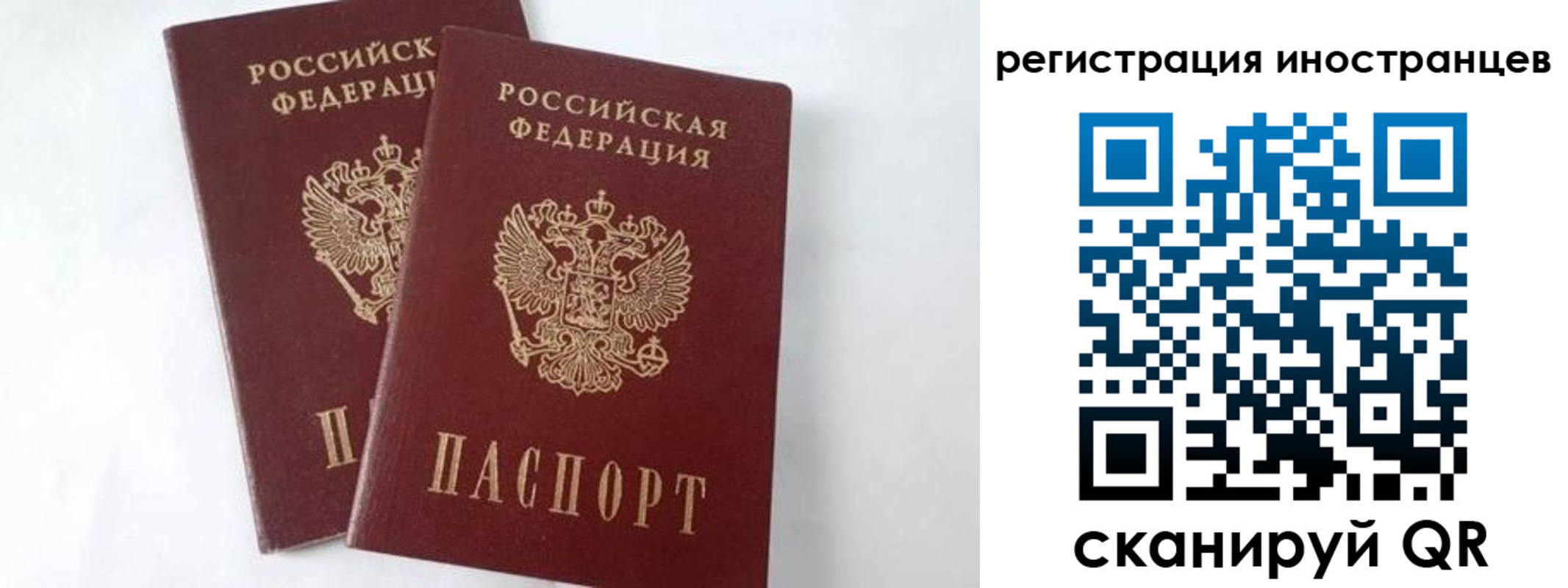 регистрация для школы в Фрязино